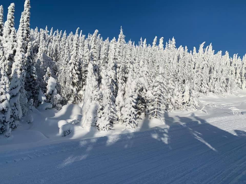 Willa Le Chalet Du Vali Saint-David-de-Falardeau Zewnętrze zdjęcie